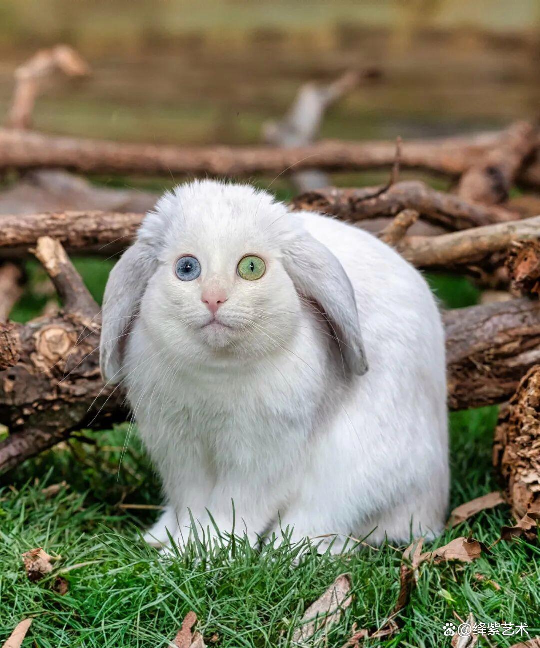 《穿越火线》玩家集体破防:服务器连接失败,你的枪战梦被“断线”了吗?